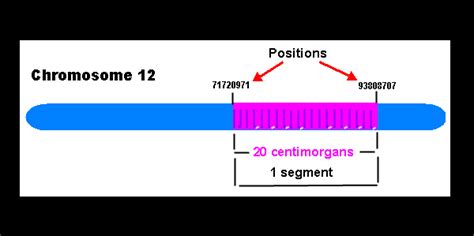 Ancestry Centimorgans and Segments (and Longest .